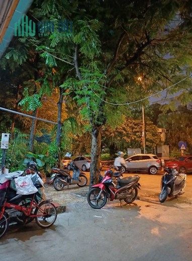 Bán nhà Trần Quang Diệu, Ô Tô, View vườn hoa, 76m2 4 Tầng, giá 16 tỷ