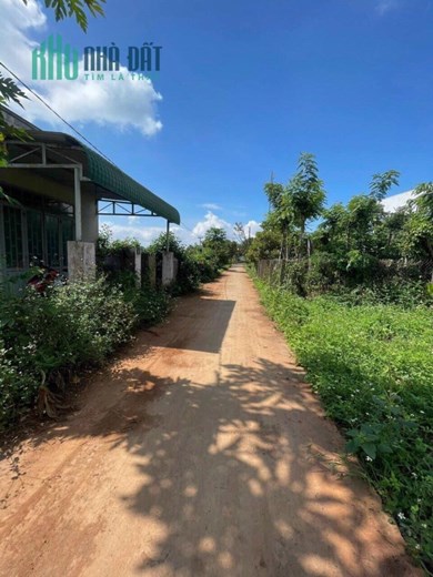 Đất hẻm cấp 1 Đường Tỉnh lộ 1 - Xã Tân Hoà  (7x20m giá chỉ 365 triệu)