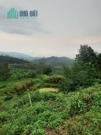 BÁN ĐẤT TẠI BẢO LỘC – LỘC THÀNH – LÂM ĐỒNG – 0984967076
