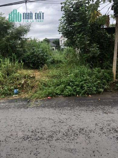 CHÍNH CHỦ CẦN BÁN ĐẤT MẶT TIỀN ĐƯỜNG LIÊN XÃ KHU VỰC ĐỒNG NẾP – XÃ TỪ DU – HUYỆN LẬP THẠCH – VĨNH