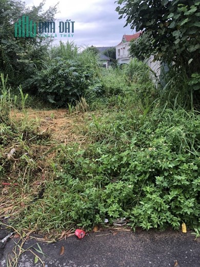 CHÍNH CHỦ CẦN BÁN ĐẤT MẶT TIỀN ĐƯỜNG LIÊN XÃ KHU VỰC ĐỒNG NẾP – XÃ TỪ DU – HUYỆN LẬP THẠCH – VĨNH