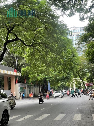 Bán nhà mặt Phố Tô Hiệu (To) 150m², 2 tầng, MT 7m, giá 55 tỷ Cầu Giấy. Mua liên hệ: O94lO7l689