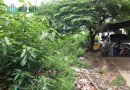 Ngộp Bán Gấp Đất Thổ Cư Gần Tô Ngọc Vân Linh Đông, Thủ Đức, 55m2_4.8x11.5, HXH Chỉ Nhỉnh 3 tỷ Thách
