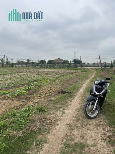 CHÍNH CHỦ CẦN BÁN  Nhanh Lô Đất Đẹp Tại Thị trấn Cẩm Giàng, Huyện Cẩm Giàng, Tỉnh Hải Dương