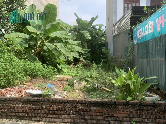 Bán Đất Giang Biên 105M Chia Lô , Đầu Tư , Cực Rẻ Chỉ 60TR/M