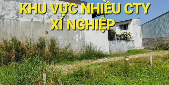 1333m2 Mặt Tiền Lô Góc Nguyễn Thị Nói Trung An Củ Chi TPHCM nhỉnh 10 tỷ