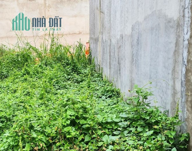 Đất Cần Bán Giá Hiếm Dưới 2 Tỷ Tại Tân Hiệp Hóc Môn