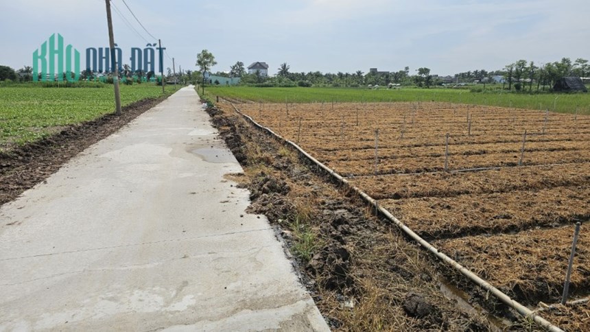 CẦN BÁN ĐẤT Ở ẤP HỘ , XÃ TÂN ĐIỀN , HUYỆN GÒ CÔNG ĐÔNG ,TỈNH TIỀN GIANG