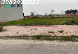 KHU ĐÔ THỊ MỚI 379 TÂN MỸ. TỌA LẠC NGAY TRÊN MẶT ĐƯỜNG TỈNH LỘ 295B, TUYẾN ĐƯỜNG HUYẾT MẠCH CÓ VAI