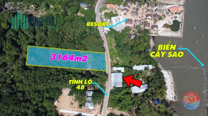Bán 3164m2 đất Xã Hàm Ninh, Phú Quốc SHR chỉ 5tr/m2. Lh:0966334433