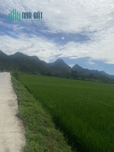 ĐẤT ĐẸP - GIÁ TỐT - Chính Chủ Bán Lô Đất Đường Quốc Lộ 10, Huyện Nga Sơn, Tỉnh Thanh Hóa