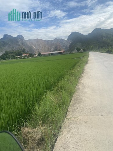 ĐẤT ĐẸP - GIÁ TỐT - Chính Chủ Bán Lô Đất Đường Quốc Lộ 10, Huyện Nga Sơn, Tỉnh Thanh Hóa