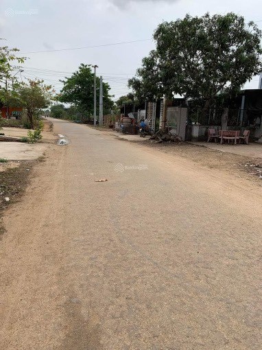 Bán Trang Trại Heo Đang Hoạt Động Ổn Định .