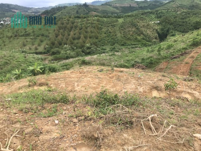 ĐẤT ĐẸP - GIÁ TỐT - Cần Bán Lô Đất Trí Đẹp tại Xã Lộc Bảo, Bảo Lâm, Lâm Đồng