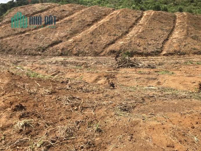 ĐẤT ĐẸP - GIÁ TỐT - Cần Bán Lô Đất Trí Đẹp tại Xã Lộc Bảo, Bảo Lâm, Lâm Đồng