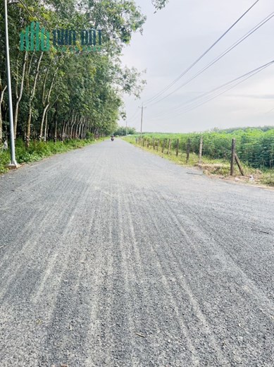 Đất Giá Rẻ 3000 m2 Mặt Tiền Giồng Cà Thành Phố Tây Ninh giá 3tỷ 850. LH 0799916699