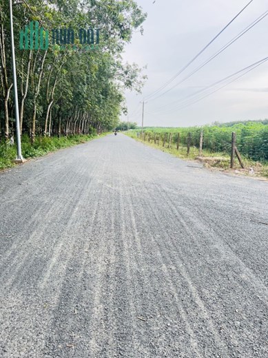 Cần bán 3000 m2 đất MT Giồng Cà Thành Phố Tây Ninh giá 3tỷ 830 . LH 0799916699
