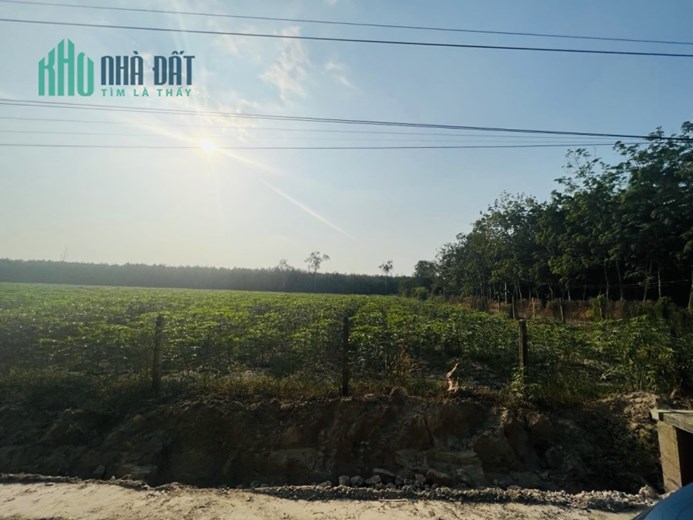 Bán gấp 3000 m2 đất MT Giồng Cà Thành Phố Tây Ninh giá thỏa thuận. LH 0799916699