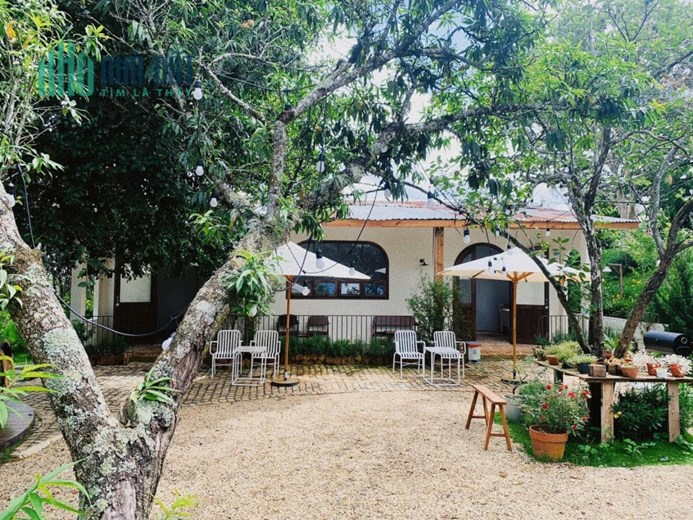 Cho thuê cà phê homestay tại Cao Bá Quát phường 7 Đà Lạt
