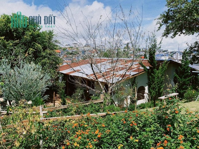 Cho thuê cà phê homestay tại Cao Bá Quát phường 7 Đà Lạt