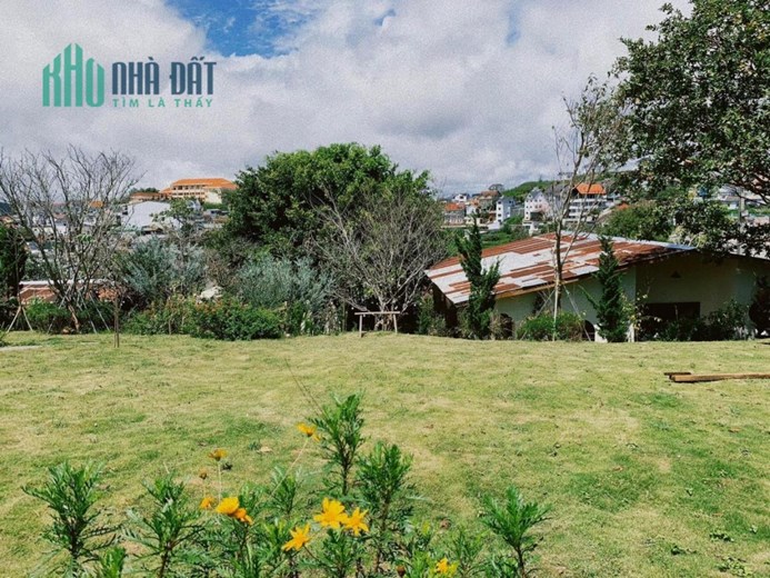 Cho thuê cà phê homestay tại Cao Bá Quát phường 7 Đà Lạt