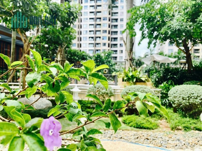 Sở Hữu Ngay Căn Hộ Cực Chất Tại Akari City Võ Văn Kiệt
