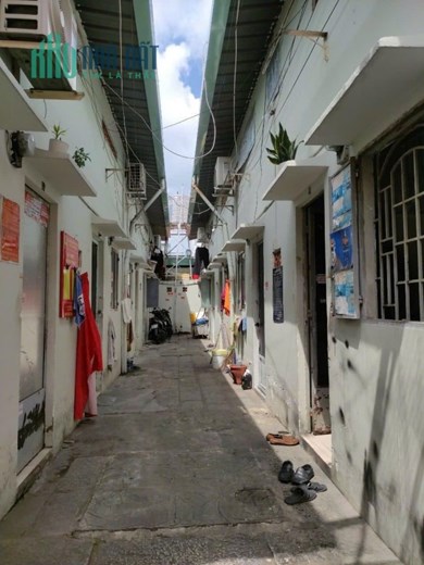 CHÍNH CHỦ CẦN BÁN DÃY TRỌ 90M2- GIÁ CHỈ 4,65 THƯƠNG LƯỢNG
LÊ ĐỨC THỌ- P.6- GO VẤP