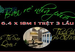 Ngôi nhà lung linh 6.4 x 18m 1 trệt 3 lầu Võ Thị Sáu trung tâm Q1 TP.HCM