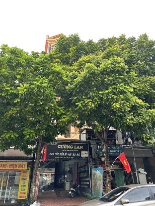 ✨Cho thuê nhà mặt đường QL2 thôn Thuỵ Hương, xã Phú Cường, Sóc Sơn, Hà Nội; 0982835452