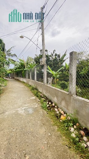 Bán đất Tiền Giang Nghỉ Dưỡng Siêu Rẻ, 3188 m2  chỉ 4 tỷ, Xã long an cách đường đẫn cao tốc trung