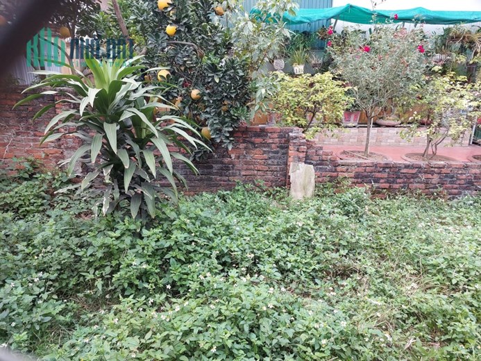 Bán đất, Bùi Xương Trạch, 45m2, mt4m, 2.6 tỷ. Ô tô, Thanh Xuân.