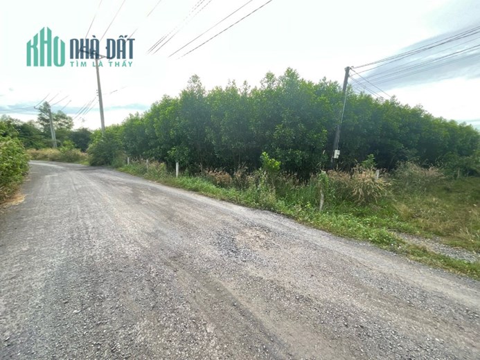 Bán đất tại xã Long Phước, huyện Long Thành, Đồng Nai . LH 0789954191
