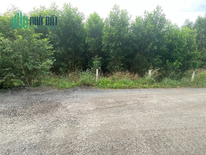 Bán đất tại xã Long Phước, huyện Long Thành, Đồng Nai . LH 0789954191