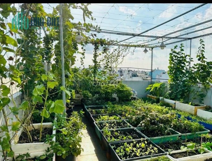 Siêu phẩm 2 mặt tiền hẻm nhựa Tân Hoàn Đông p.BTD Bình Tân, 90m2 gara 7 chổ cổng sau, 9 tỷ 6 chỉ