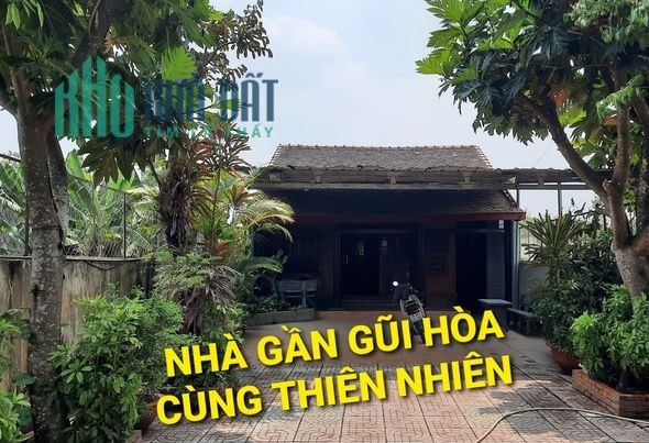 Bán Nhà Gỗ Cổ 420m2 Hà Duy Phiên Bình Mỹ Củ Chi TPHCM có 6 tỷ x
