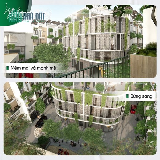 Bán Nhà Phố MT Trương Đình Hội Q8, 195m2 , Chỉ 6,8 Tỷ.