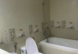 Cho thuê căn hộ chung cư REMAX PLAZA nằm ngay đường Phạm Đình Hổ, Phường 1, Quận 6