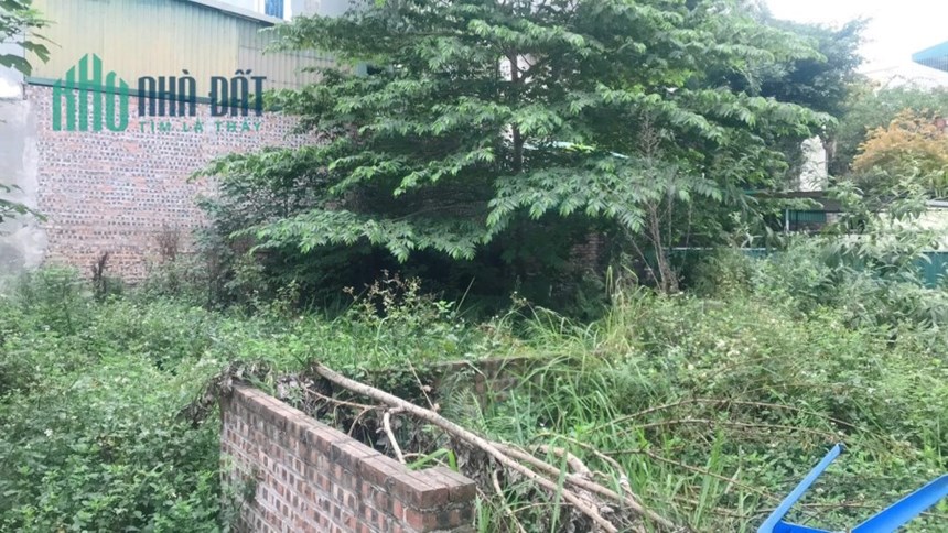 Bán nhà Ngọc Thụy nhỉnh 2 Tỷ, sổ phân lô, giao dịch ngay, đất ngay chợ Ngọc Thụy
