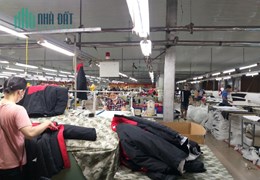 CHUYỂN NHƯỢNG 100% CỔ PHẦN CTY MAY XK TẠI tỉnh THÁI BÌNH