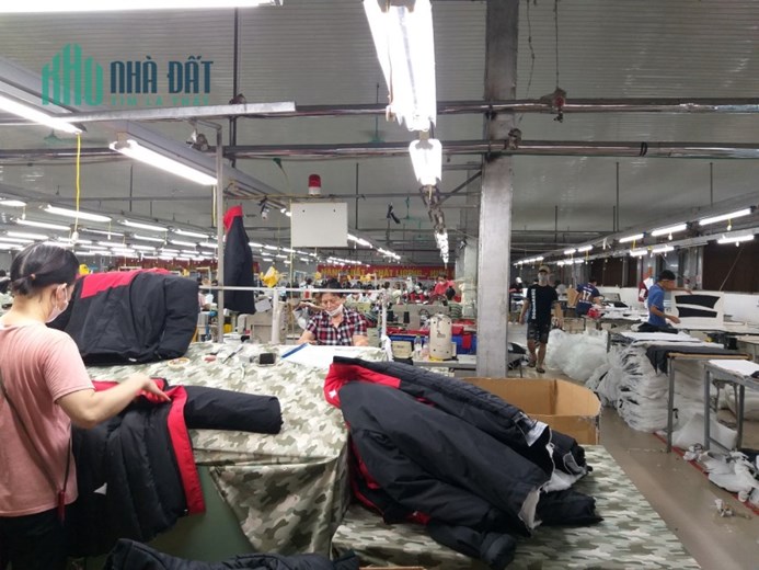 CHUYỂN NHƯỢNG 100% CỔ PHẦN CTY MAY XK TẠI tỉnh THÁI BÌNH