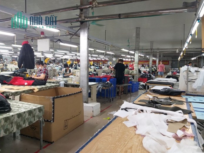CHUYỂN NHƯỢNG 100% CỔ PHẦN CTY MAY XK TẠI tỉnh THÁI BÌNH