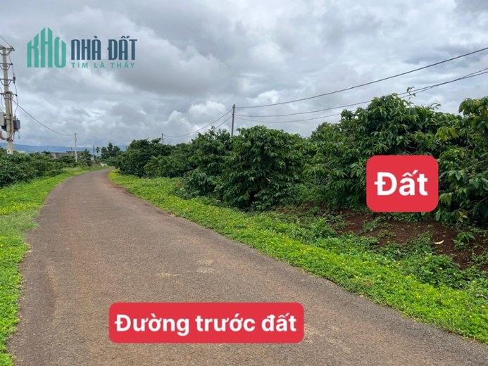 ĐẤT THỔ CƯ GIA LAI - GẦN SÂN BAY - CHỈ NHỈNH 800K 1 MÉT VUÔNG - ĐƯỜNG NHỰA SẴN THỔ.