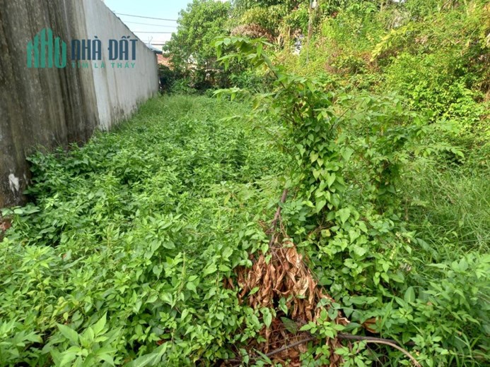 Bán đất T.Lộc 41 PHƯỜNG T.Lộc Q.12, Nở hậu, 20tr m2, đường 3.5m, giá chỉ 5.15 tỷ