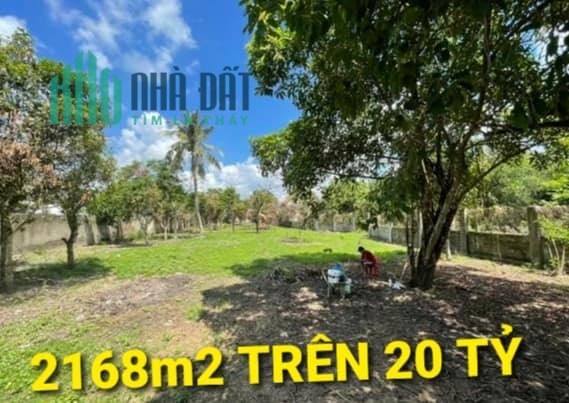 NGỘP - 2168m2 giá Trên 20 tỷ QL22 KCN Tân Phú Trung Củ Chi TPHCM