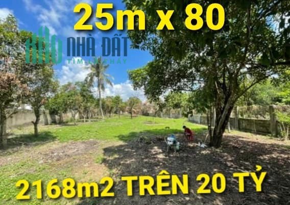 NGỘP - 2168m2 giá Trên 20 tỷ QL22 KCN Tân Phú Trung Củ Chi TPHCM