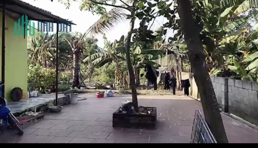 Cho thuê Biệt thự mini 1826m2, 4PN khép kín, gần Bến xe Dinh Thầy, Lagi.