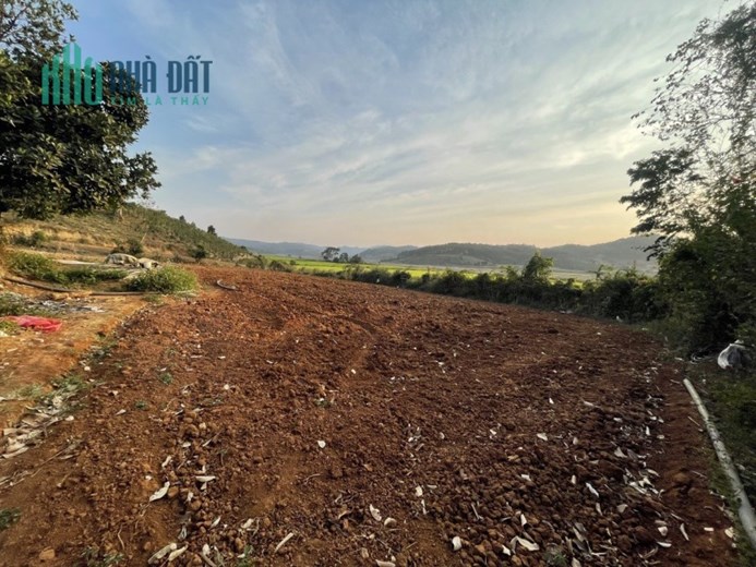 ĐẤT TU TRA GIÁ SIÊU ƯU ÁI , diện tích 3850m2 giá 2 tỷ