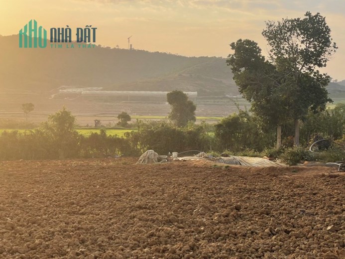 ĐẤT TU TRA GIÁ SIÊU ƯU ÁI , diện tích 3850m2 giá 2 tỷ