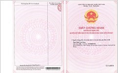 Chính chủ cần bán Lô đất Mặt Tiền đường Quách Văn Tuấn, P.5, Tp Tân An - Long An
