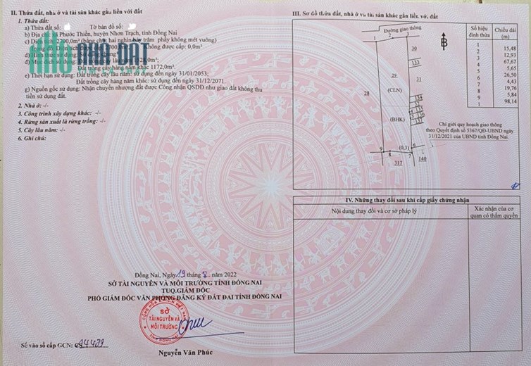 Đất Phước Thiền, Nhơn Trạch, Đồng Nai - Diện Tích Lớn, Vị Trí Đắc Địa
